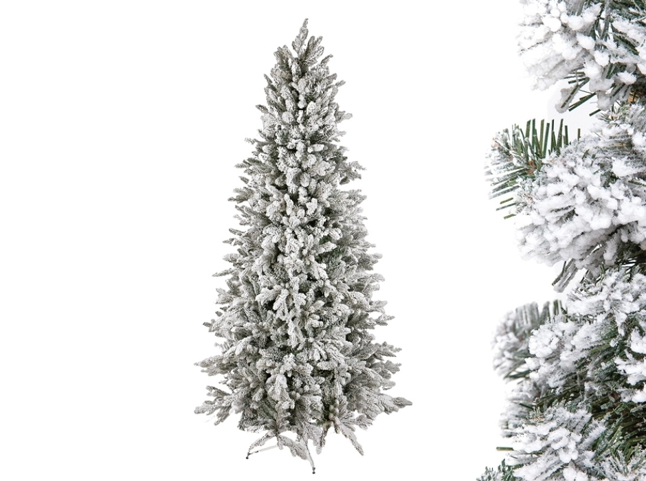 Abeto cervino nevado 200 cm.