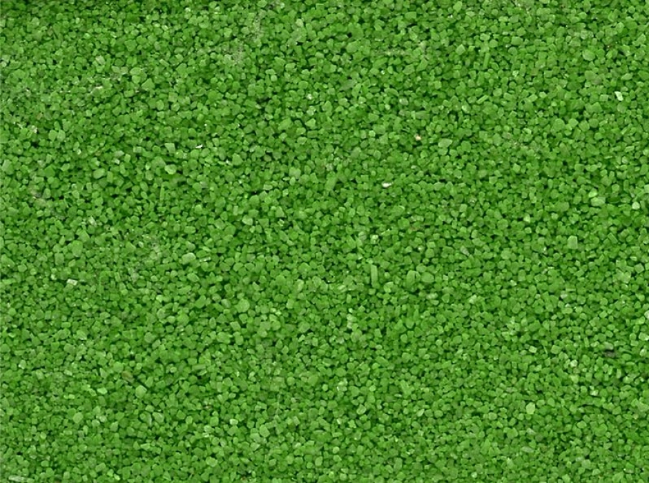 Arenilla verde Arenilla verde