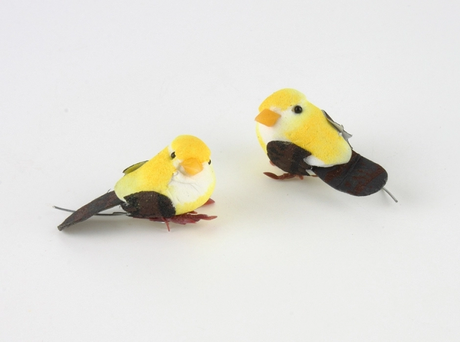Bolsa 2 pájaros de colores