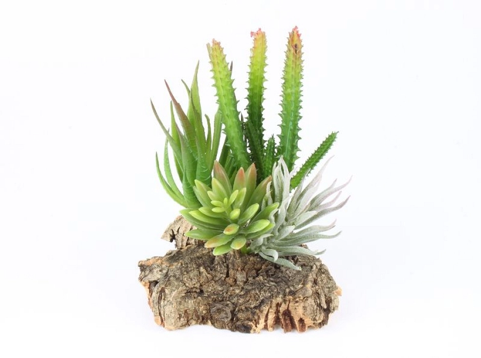 Cactus ramificado