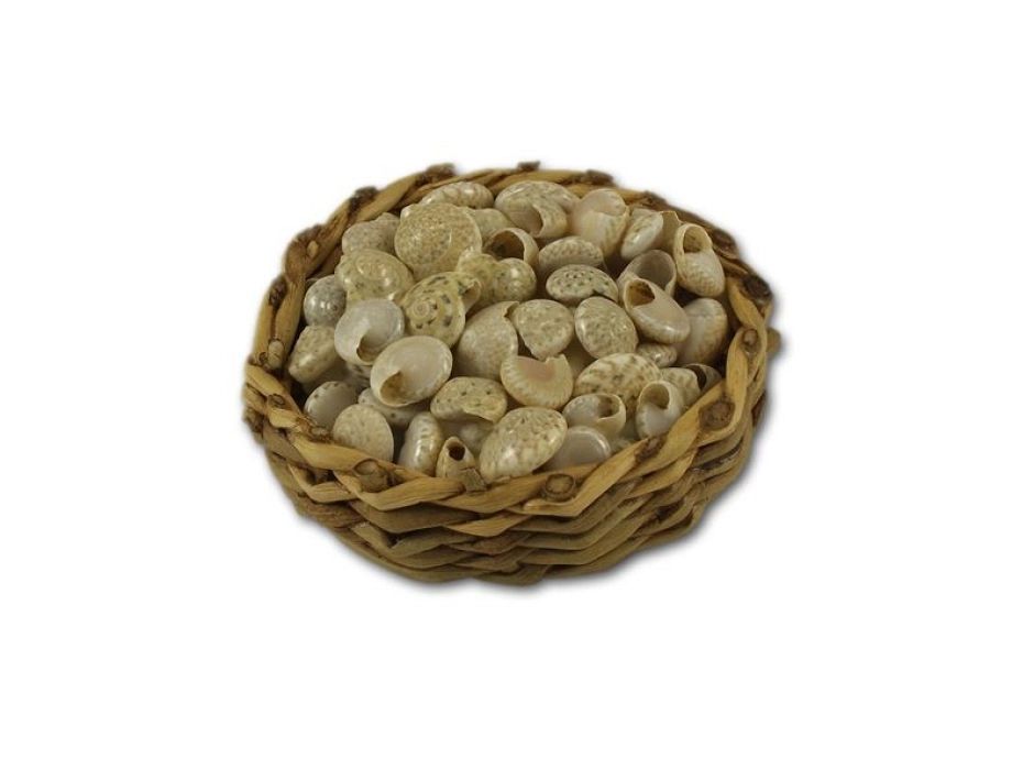 Cesto con caracoles Cesto con caracoles