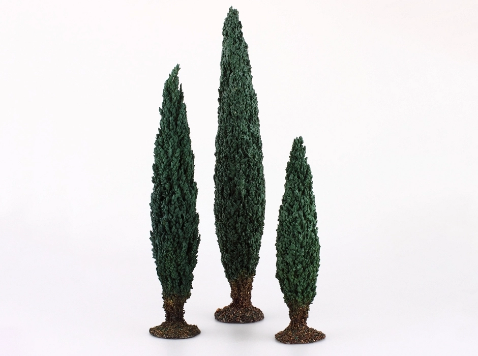 Ciprés 28 cm.