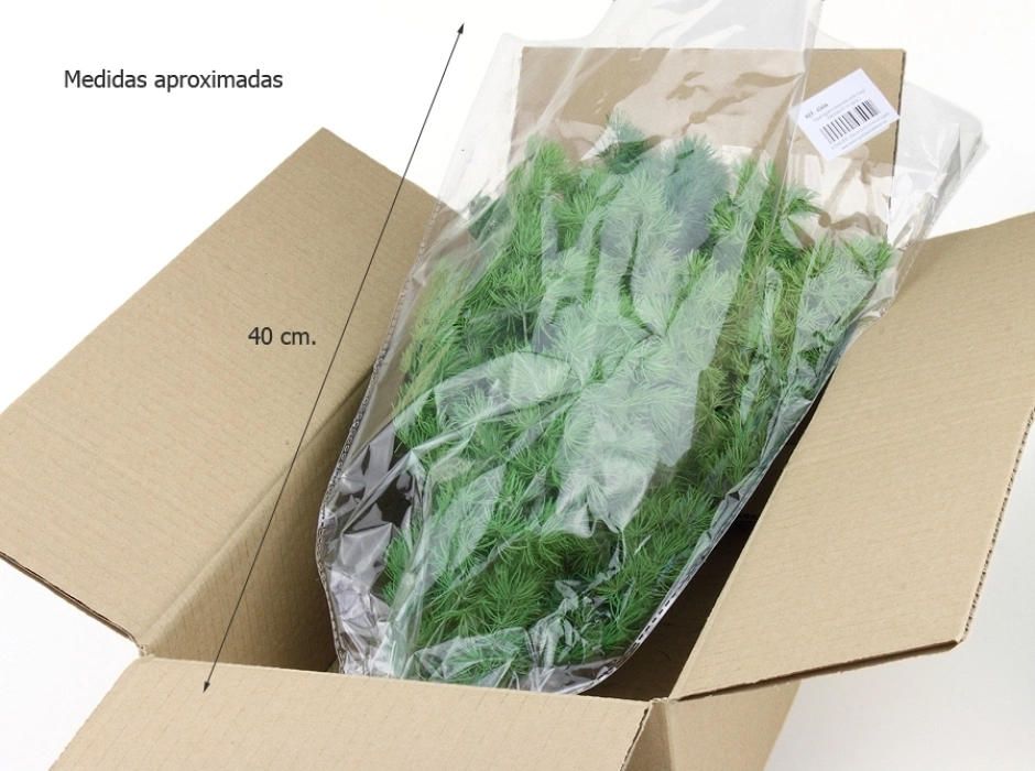 Esparraguera preservada (Ramillete 40 cm.)