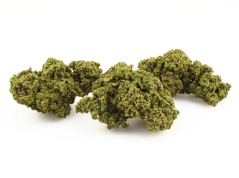 Follaje para árboles verde claro (Bolsa 12 gr.) Follaje para árboles verde claro (Bolsa 12 gr.)