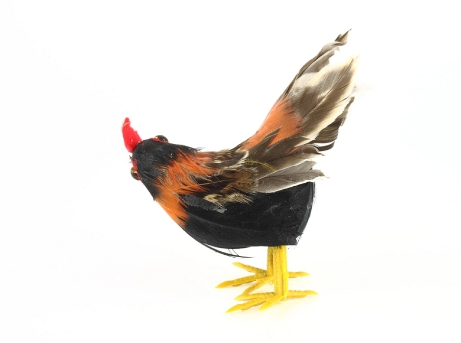 Gallo 25 cm.