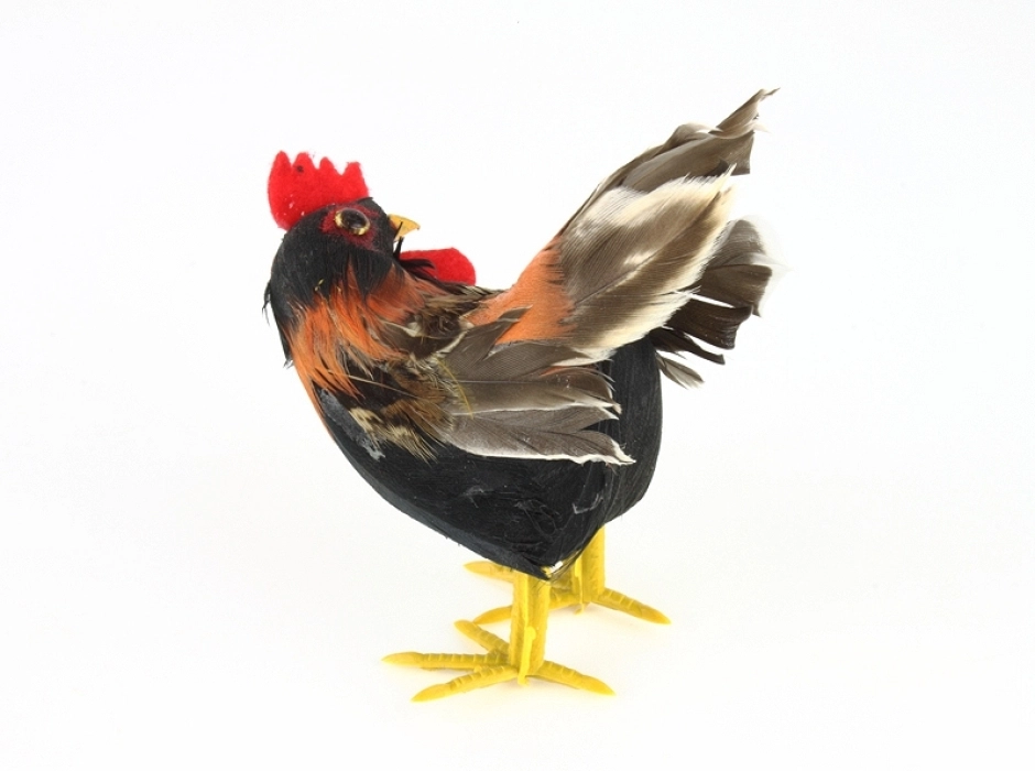 Gallo 25 cm. Gallo 25 cm.