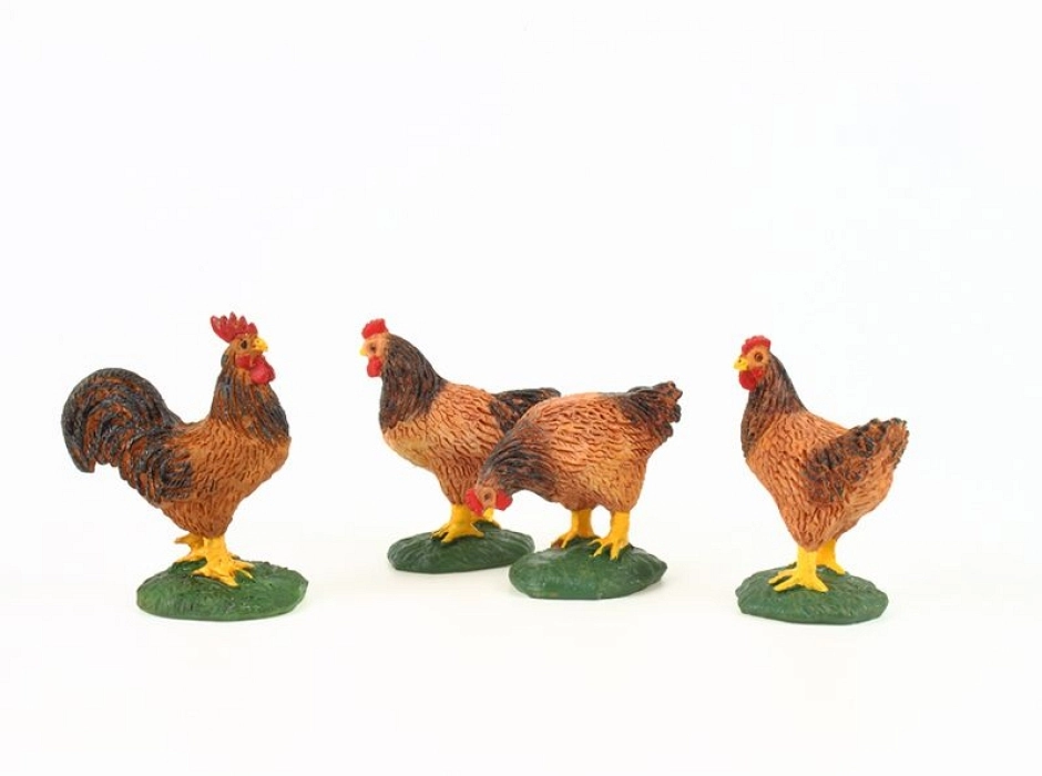 Gallo con gallinas Gallo con gallinas