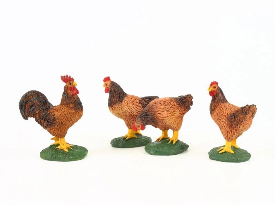 Gallo con gallinas