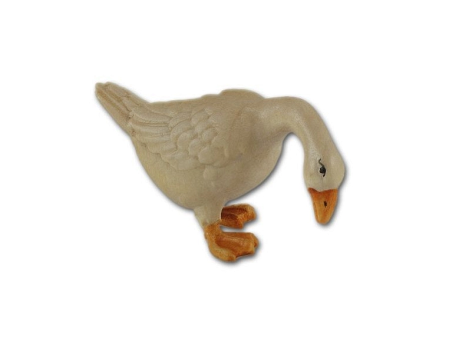 Ganso - Oca