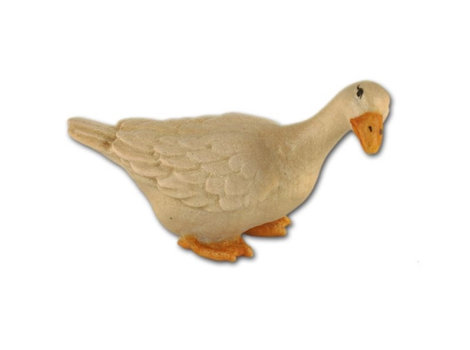 Ganso - oca