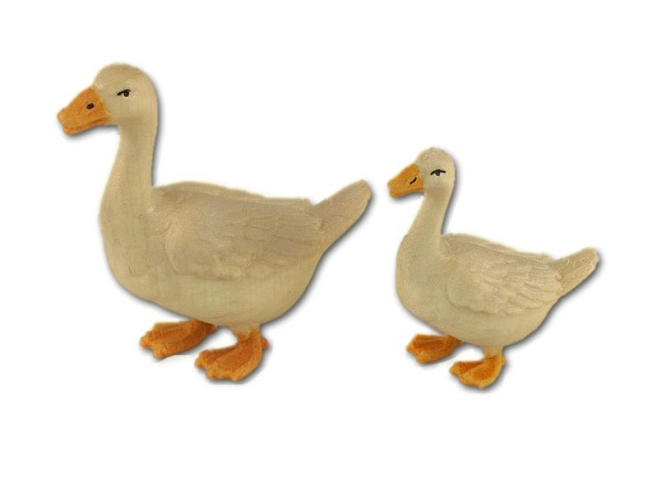 Ganso - oca