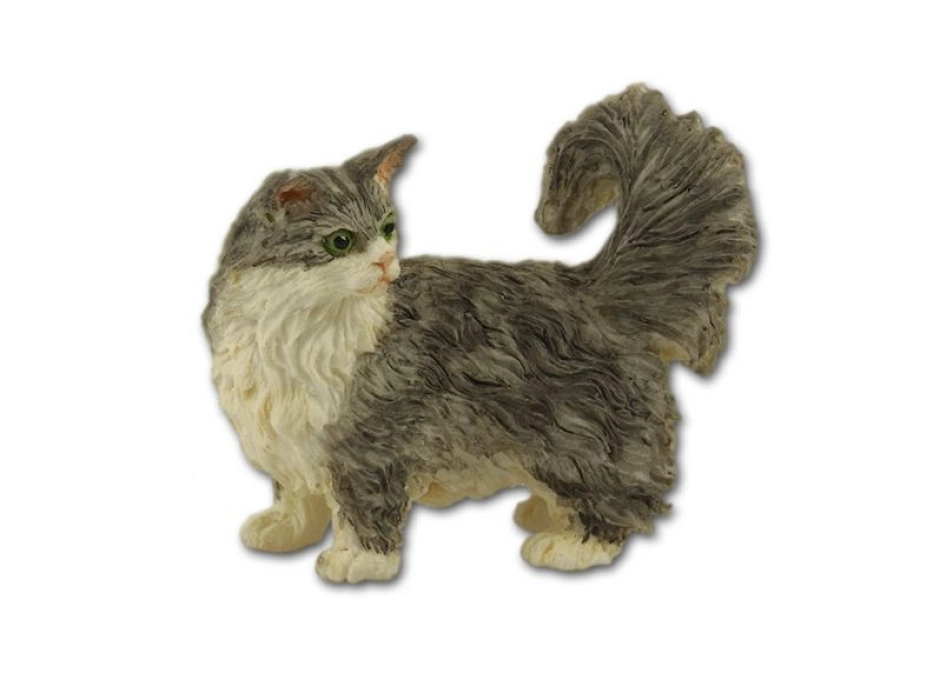 Gato persa Gato persa