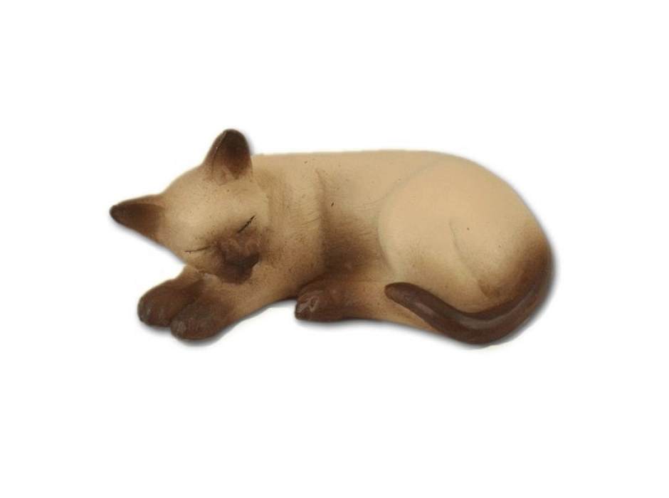Gato siamés durmiendo Gato siamés durmiendo