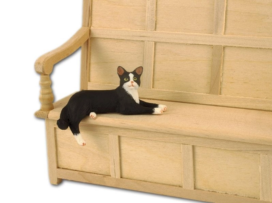 Gato tumbado Gato tumbado