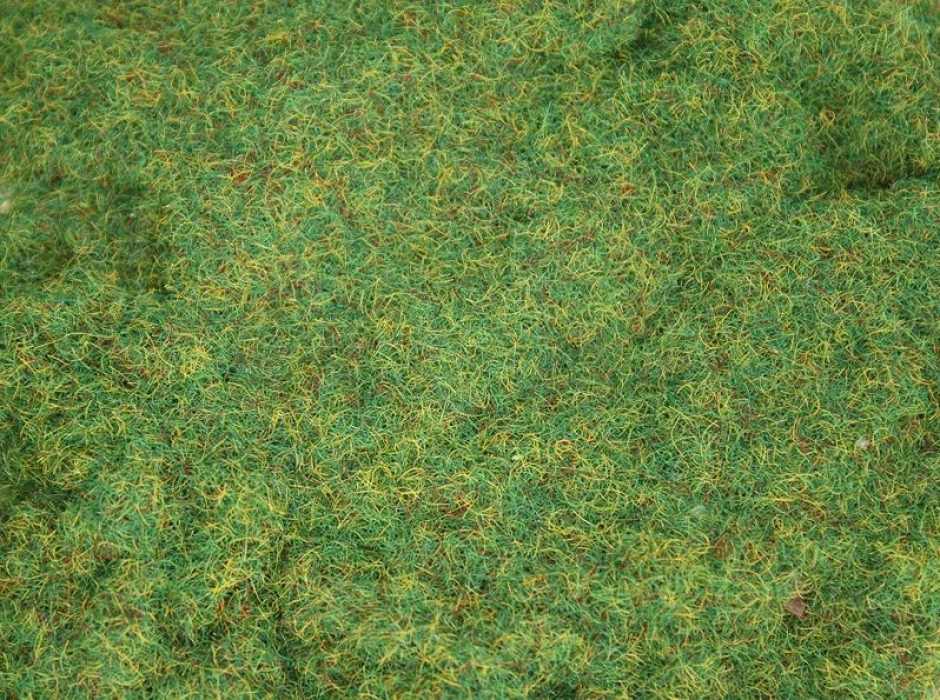 Hierba estática 2 mm. (Bolsa 20 gr.) Hierba estática 2 mm. (Bolsa 20 gr.)