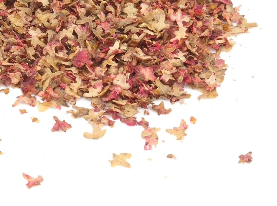 Hojarasca mix otoñal - hojas en miniatura (Bolsa 4/5 gr.)