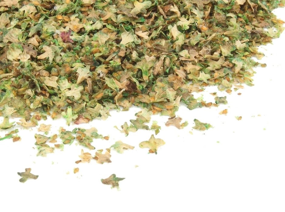 Hojarasca mix verde - hojas en miniatura (Bolsa 4/5 gr.)