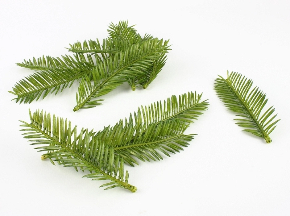 Hojas de palmera (Bolsa 32 UNI. surtidas)