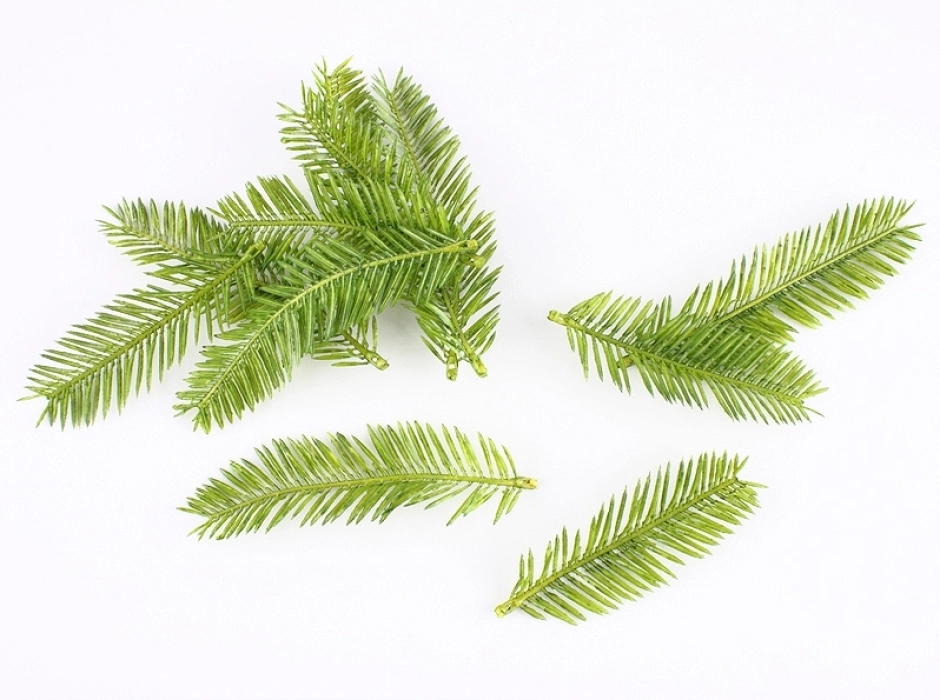 Hojas de palmera (Bolsa 32 UNI. surtidas)