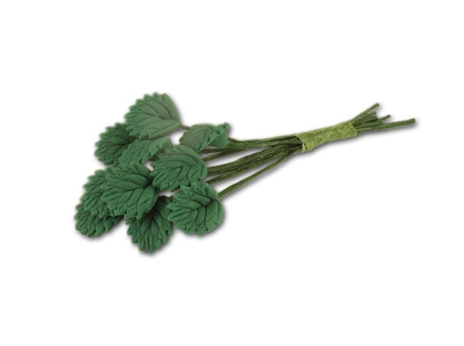 Hojas de rosal Hojas de rosal