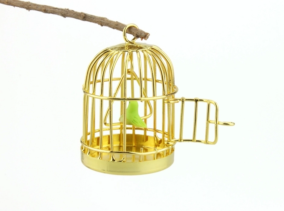 Jaula con pájaro