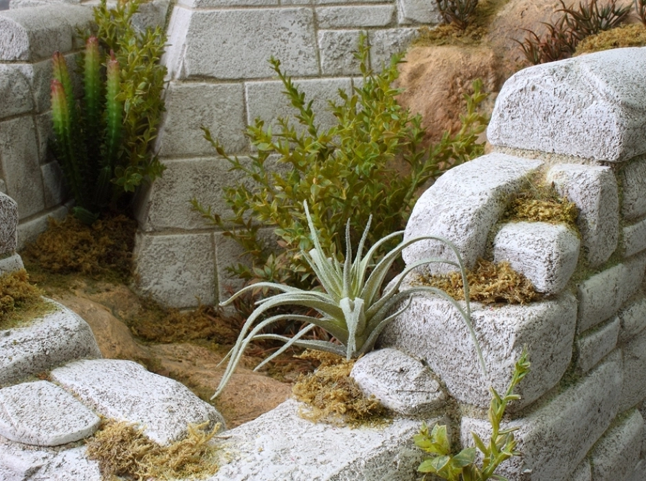 Juego 2 cactus