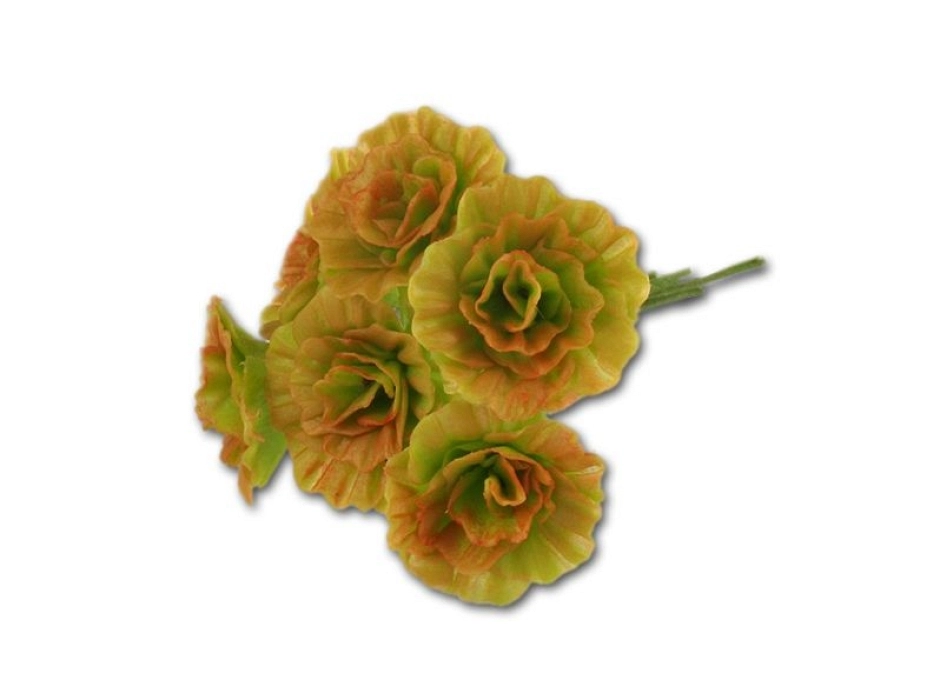 Lechuga hoja de roble roja
