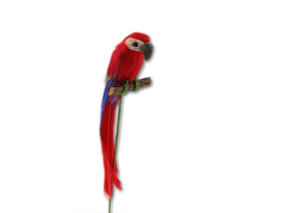 Loro guacamayo