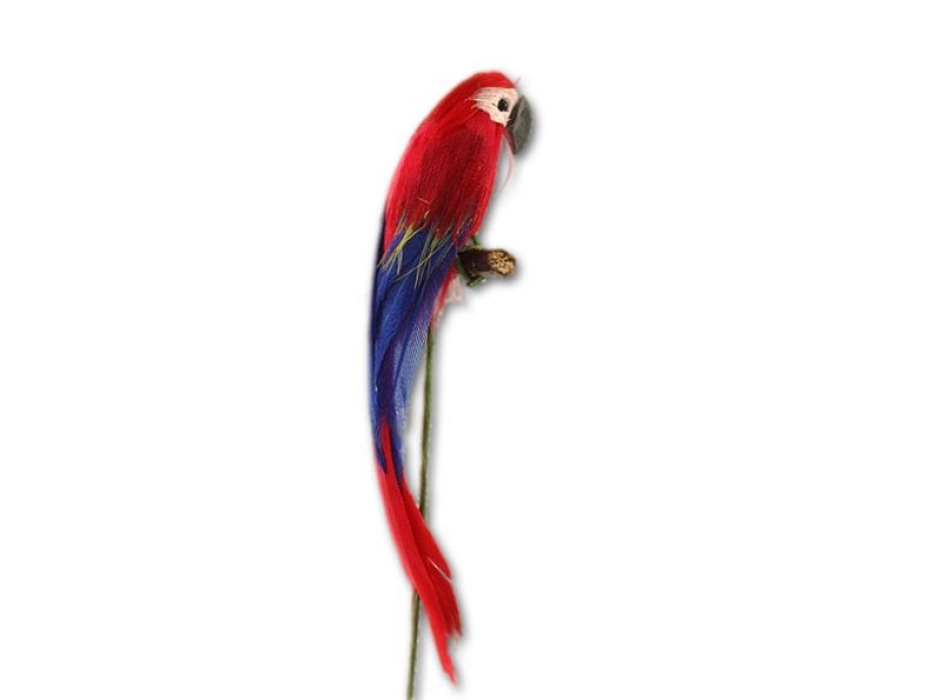 Loro guacamayo Loro guacamayo