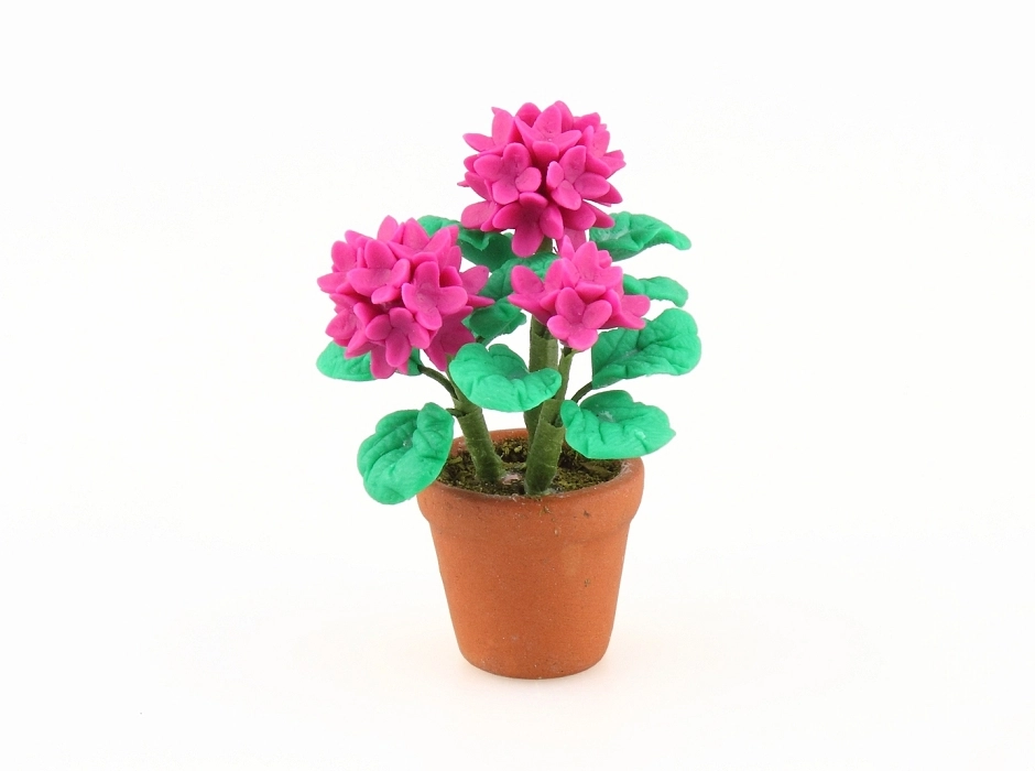Maceta con geranio rosa fucsia 4,5 cm.