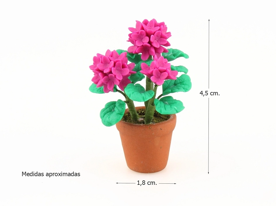 Maceta con geranio rosa fucsia 4,5 cm.
