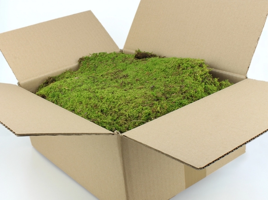Musgo natural plano en capas (Caja 350 gr.)