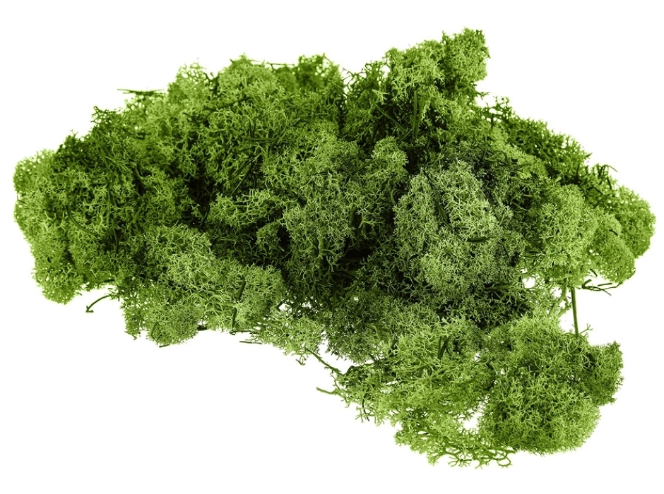 Musgo noruego preservado verde mela (Bolsa 100 gr.) Musgo noruego preservado verde mela (Bolsa 100 gr.)