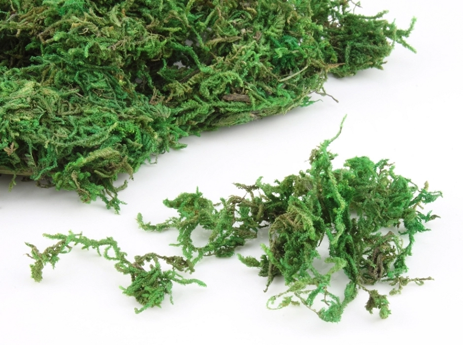 Musgo preservado verde (100 gr.) Musgo preservado verde (100 gr.)