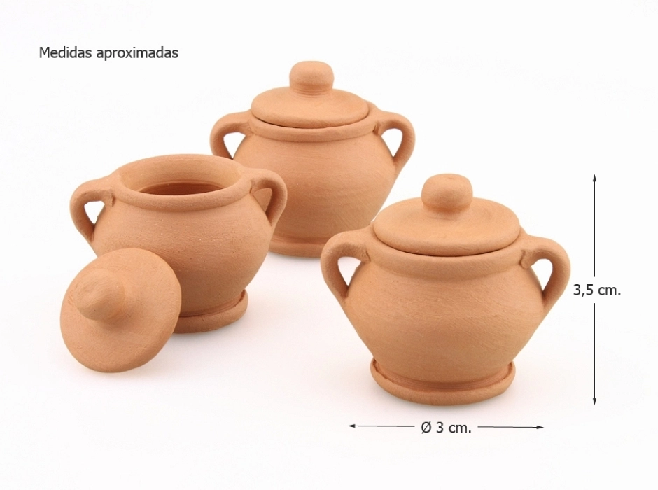 Olla cazuela con tapa