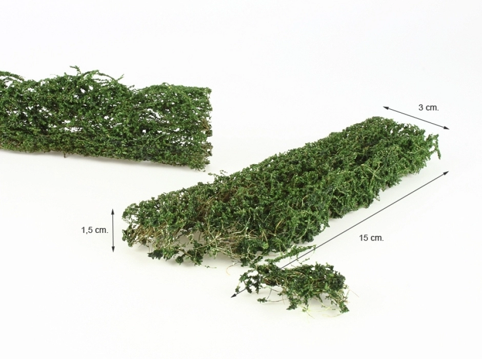 Pack 3 planchas de follaje extralargo