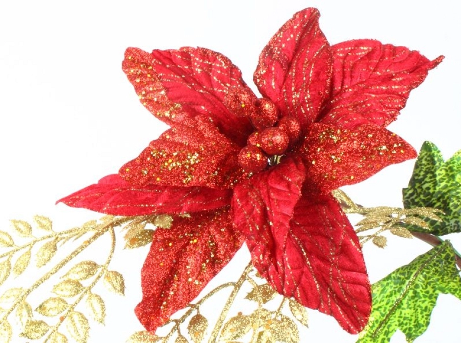 Pack 4 poinsettias rojas glitter