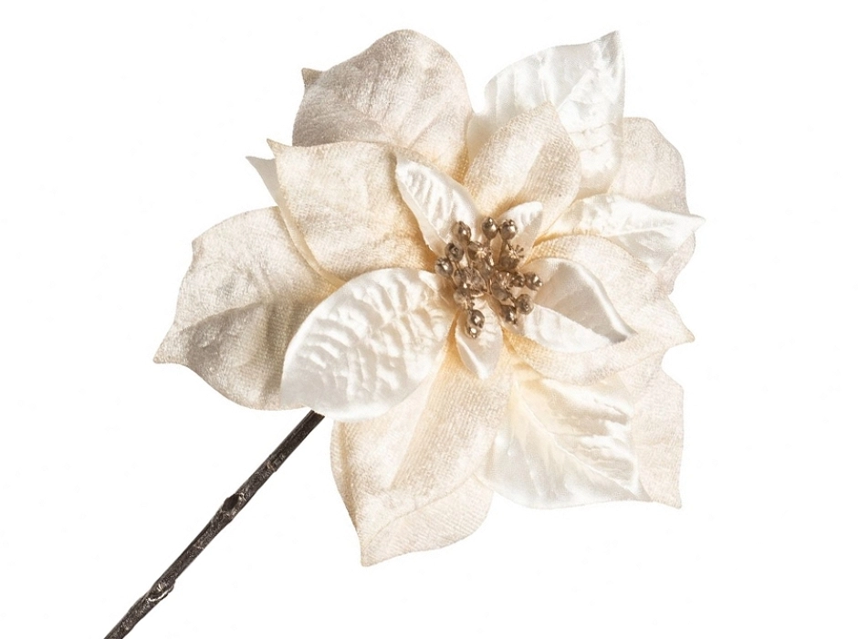Pack 4 poinsettias velvet crema