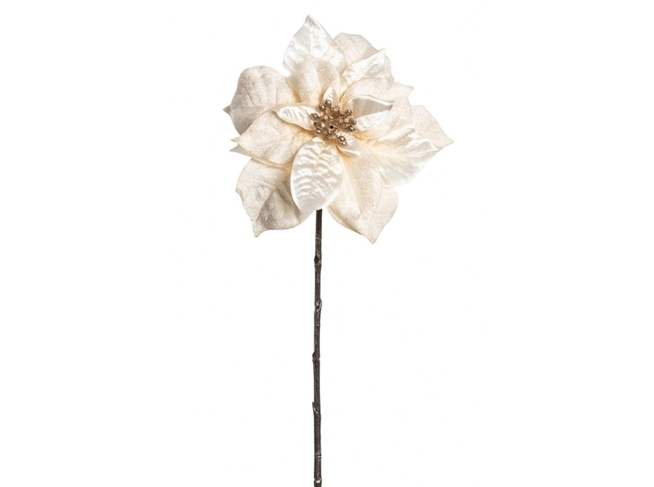 Pack 4 poinsettias velvet crema