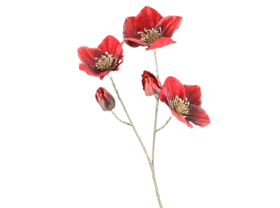 Pack 4 ramas flor de Cristo borgoña