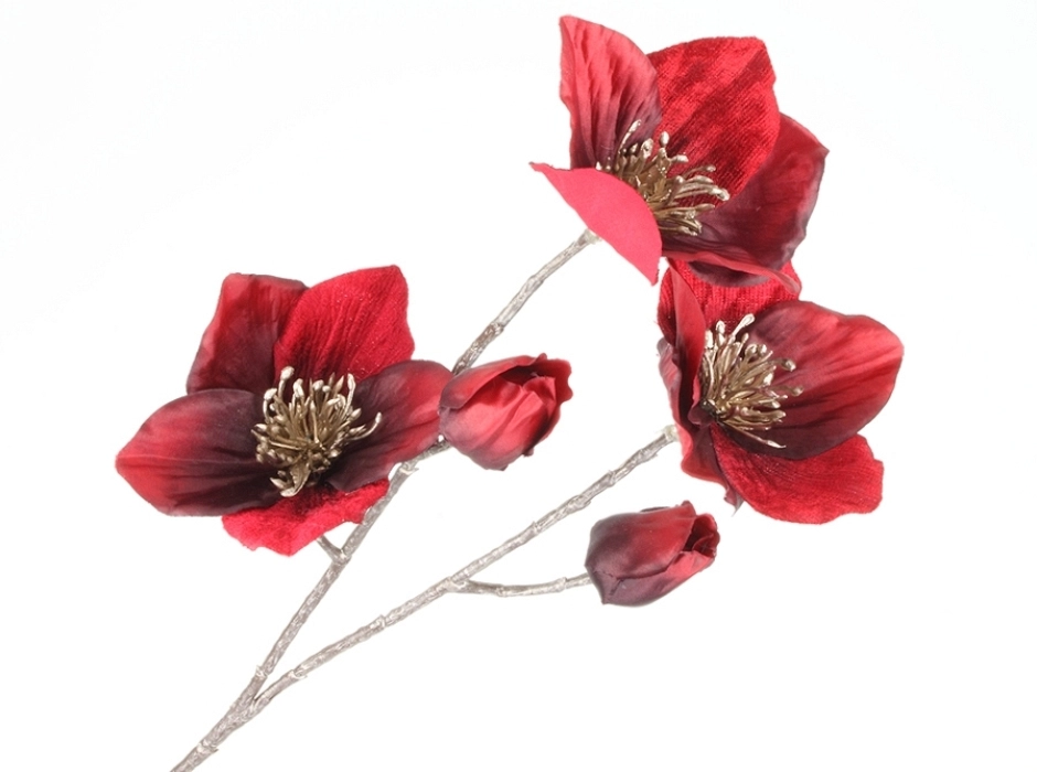 Pack 4 ramas flor de Cristo borgoña