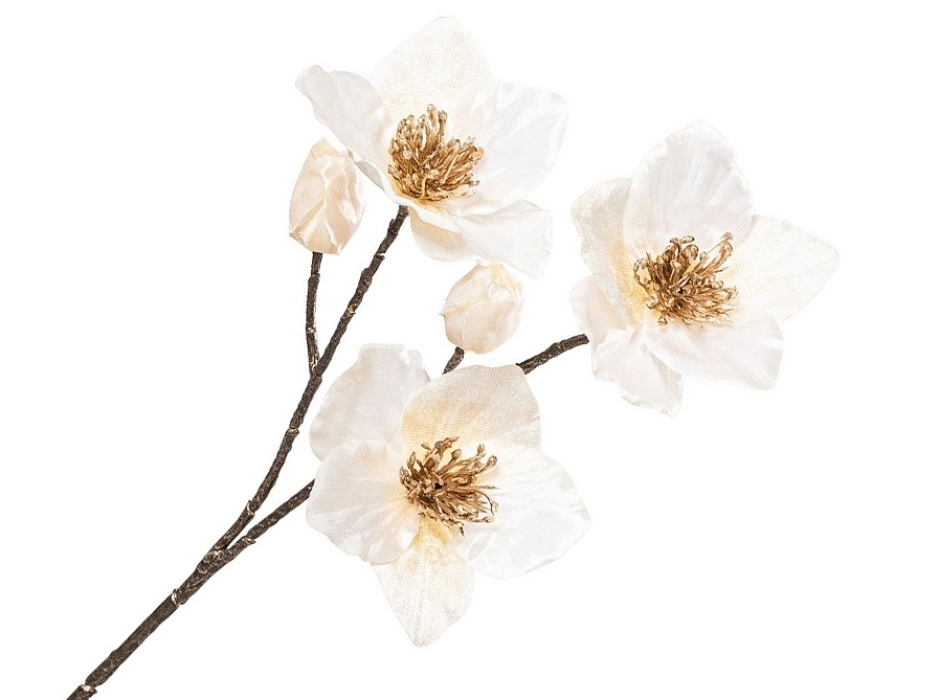 Pack 4 ramas flor de Cristo crema