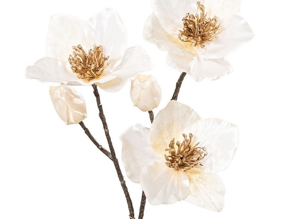 Pack 4 ramas flor de Cristo crema