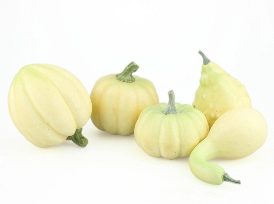 Pack 5 calabazas grandes
