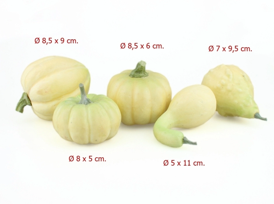 Pack 5 calabazas grandes