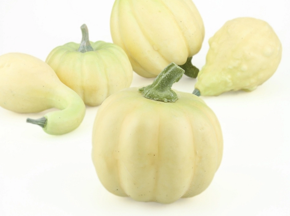 Pack 5 calabazas grandes