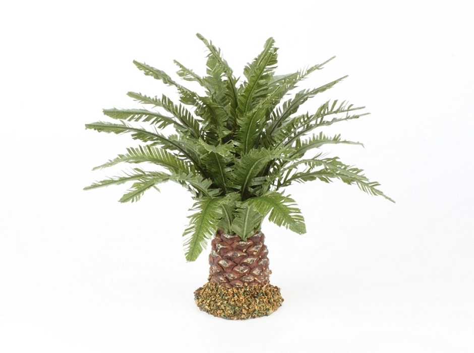 Palmera baja 15 cm. Palmera baja 15 cm.
