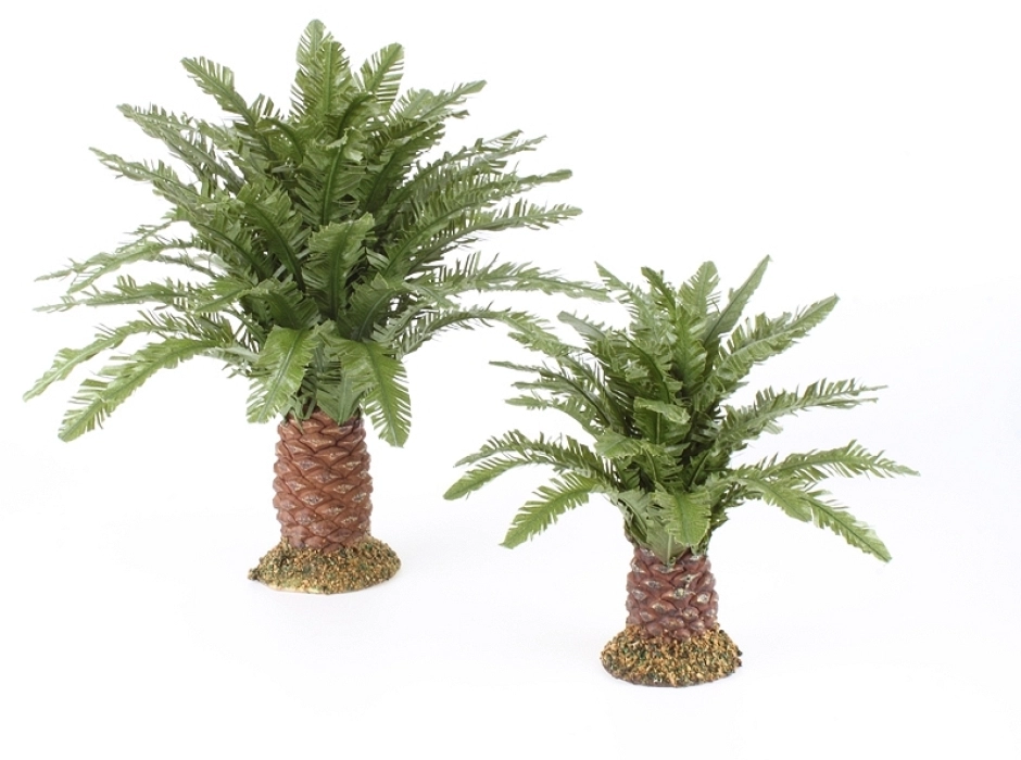 Palmera baja 15 cm.