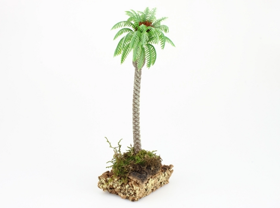 Palmera con peana de corcho