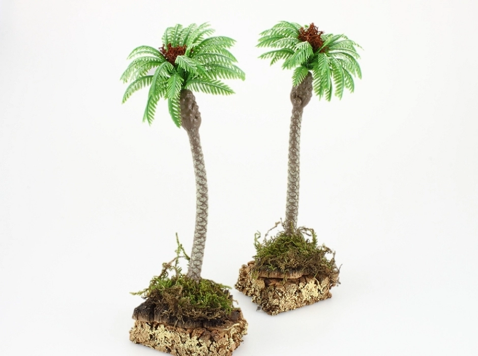 Palmera con peana de corcho